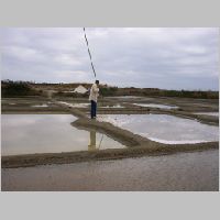 Sallines 11.jpg